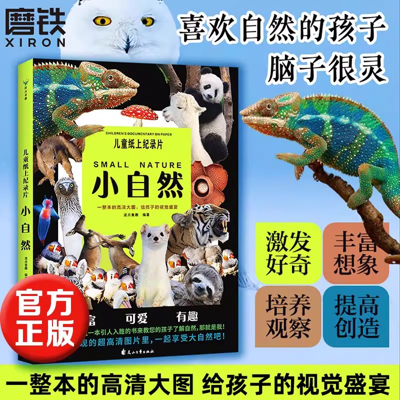 儿童纸上纪录片小自然 波点童趣 一整本的高清大图 给孩子的视觉盛宴 少儿科普绘本百科全书课外读物绘本漫画 磨铁图书正版书籍