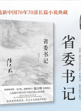 省委书记电视剧原著小说陈天明