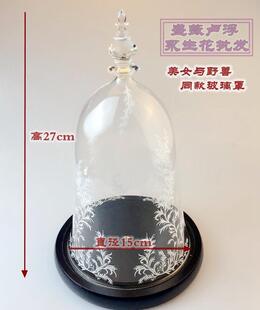 永生花玻璃罩微景观玻璃瓶美女与野兽电影同款透明罩容器15*27cm