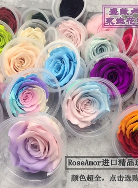 rose amor进口厄瓜多尔永生花玫瑰花大号5cm6cmXL花材diy单朵七夕