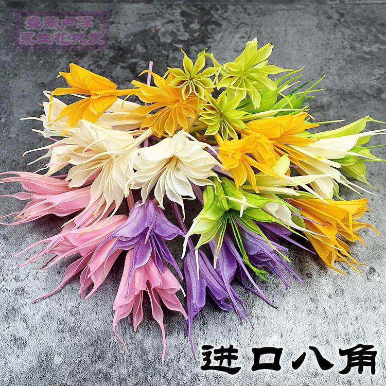 日本大地农园进口八角花短枝（分枝装）永生花配材10380011