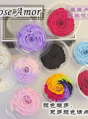 清仓处理roseamor进口永生花巨型玫瑰花9-10cm大朵七彩颜色diy