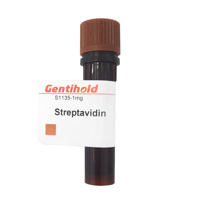 实验试剂Gentihold链霉亲和素链霉抗生物素蛋白StreptavidinS1135