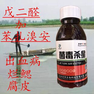 草鱼养殖出血病菌毒杀星 灭菌腐皮烂鳃鲫鱼水产鱼塘用杀菌消毒