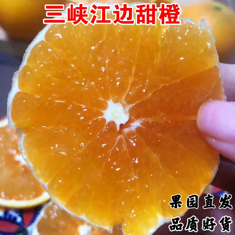 伦晚脐橙产地现摘橙子新鲜水果