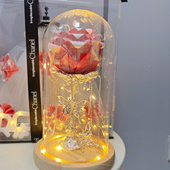 有钱花玫瑰花玻璃罩摆件闺蜜生日礼物diy材料包摆件送女友母亲节