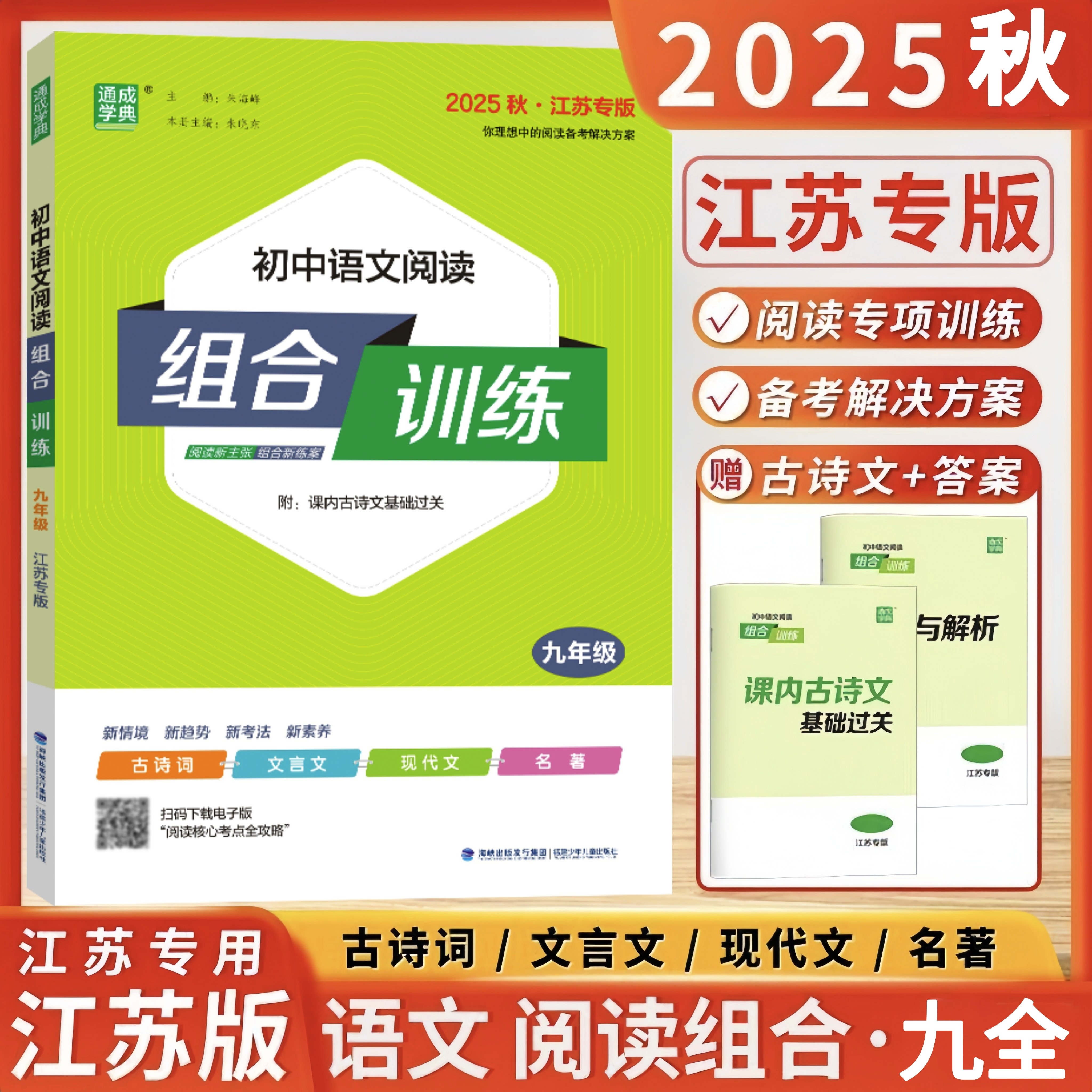 2025秋新版 通成学典 初中语文阅读组合训练九年级全一册中考通用江苏版初中生9年级语文同步教材练习册基础配套热点考点模拟题