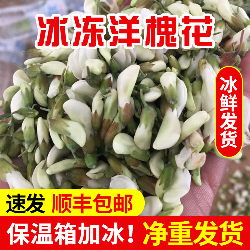 【顺丰】2026新鲜冰冻槐花新鲜槐花骨朵野菜冰冻发货野菜包邮