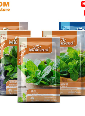 Rosemary thyme lemon mint perilla sage basil seeds Chamomile