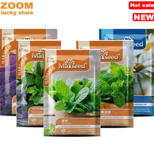 Rosemary thyme lemon mint perilla sage basil seeds Chamomile