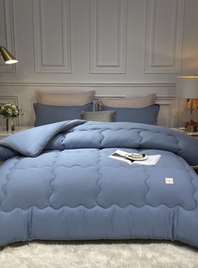 Winter Warm Duvet Blanket Soft Quilt Comforter Single Double