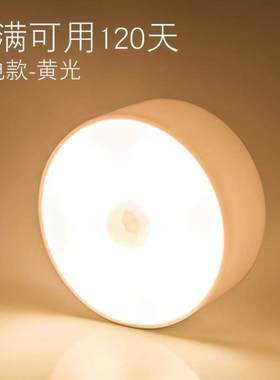 Motion Sensor LED Night Light USB Rechargeable Lamp感应灯