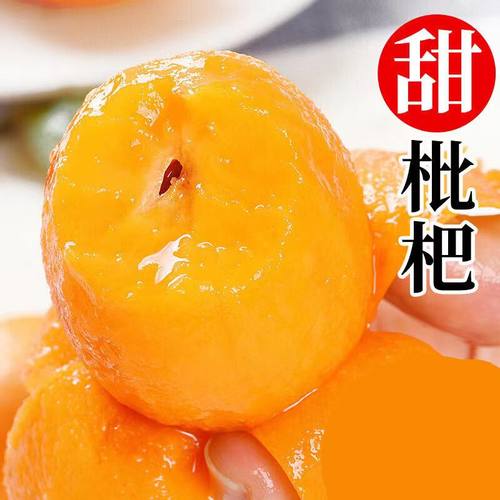 鸿心枇杷现货新鲜枇杷大果化痰