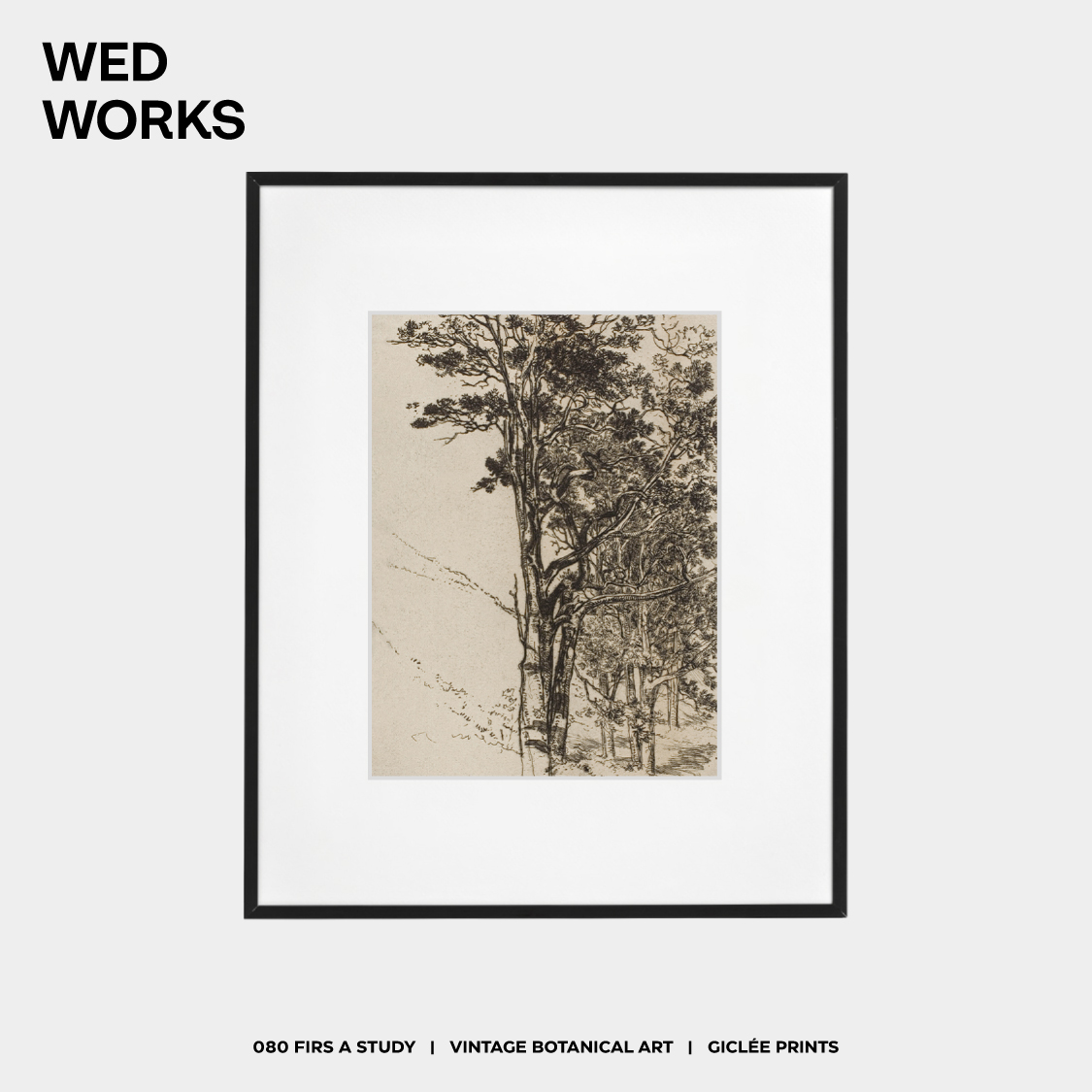 WEDWORKS 英国冷杉树素描装饰画 中古风简约大气玄关客厅餐厅挂画图片