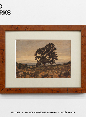 WED WORKS 小众中古风景软装挂画美式复古客厅沙发餐厅民宿装饰画