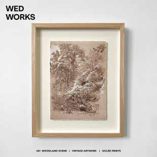 WED原创小众风景素描悬浮质感原木阿尔托装饰画设计师样板房挂画