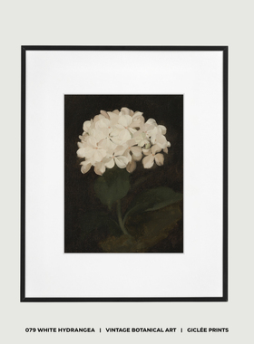 WED WORKS 黑白植物绣球花中古油画装饰画 简约现代客厅画芯挂画