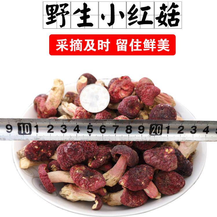 野生正宗小红菇丁干货 红蘑菇月子红姑非福建云南 新货500克