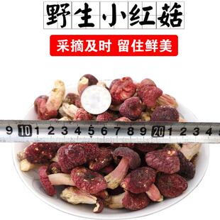 野生正宗小红菇丁干货 红蘑菇月子红姑非福建云南 新货500克