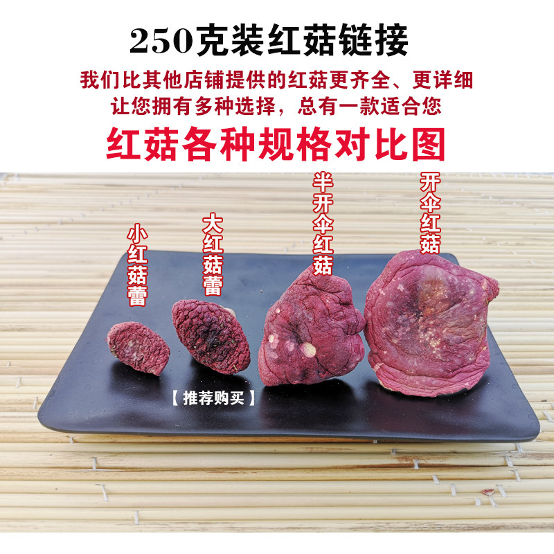 河南红菇质优价廉红菇便宜味好