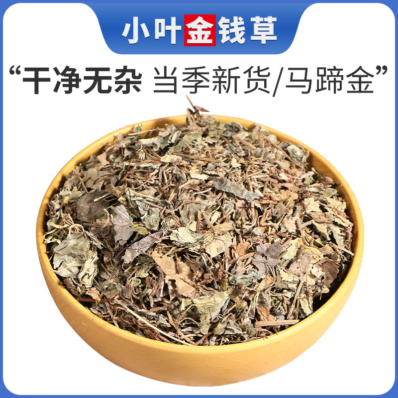 小叶金钱草中药材 野生马蹄金中草药金前草小金钱草过路黄