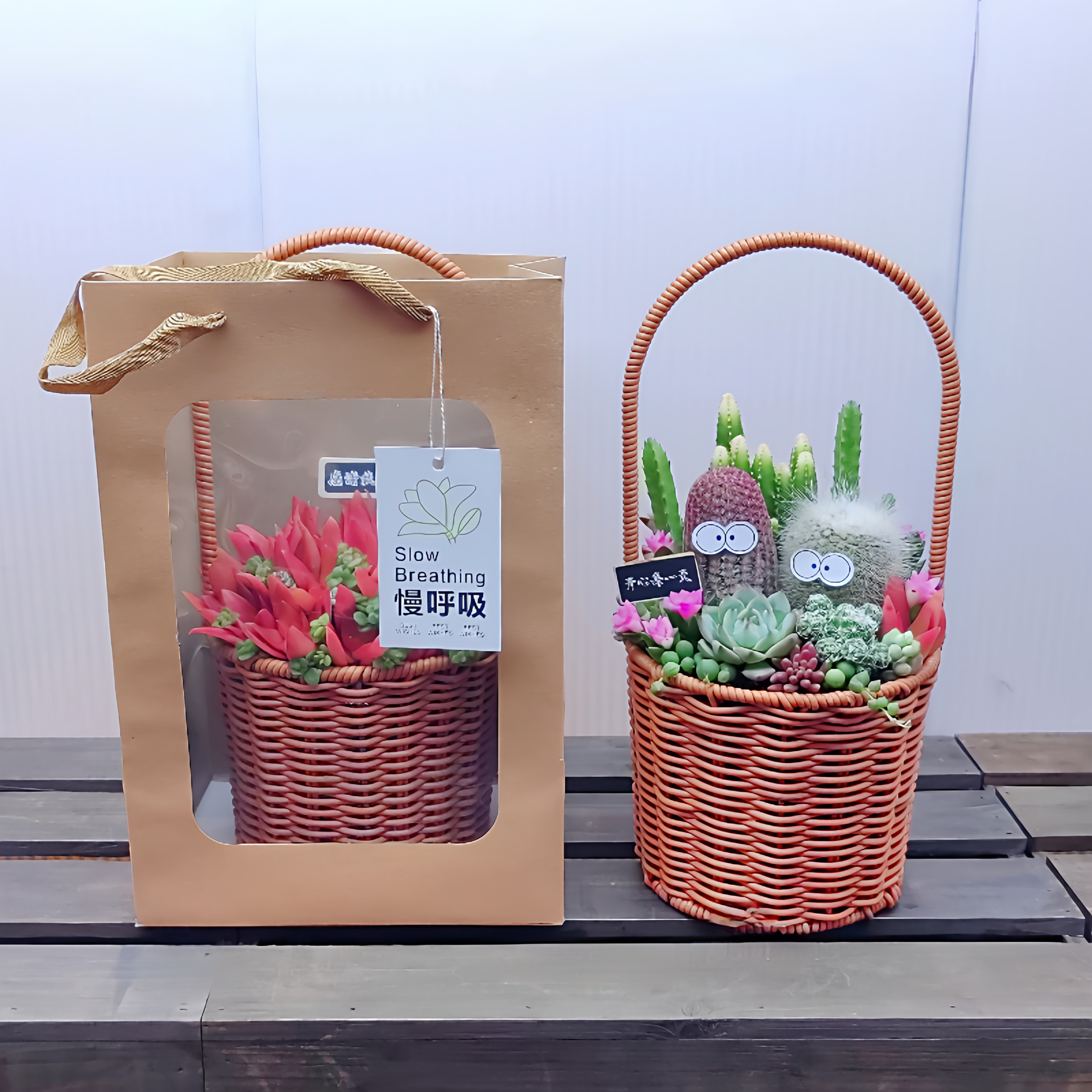 多肉植物组合手提篮子 红色火祭仙人球栽种好 节日礼品手提袋礼盒