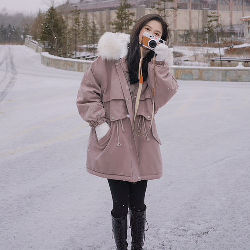 浙宝111 ZB111111-1833-175-258