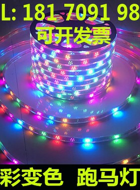 防雨超亮彩色闪烁220v室外灯带