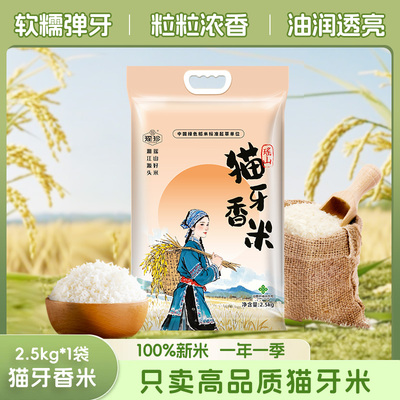 瑶珍猫牙香米10斤装当季新米大米