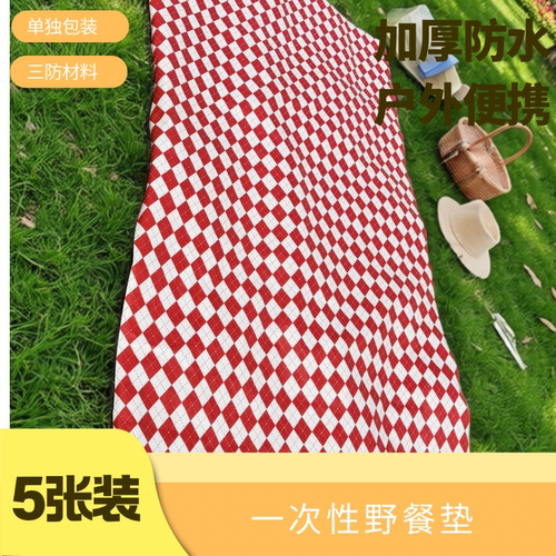 一次性野餐垫加厚防水春游便携