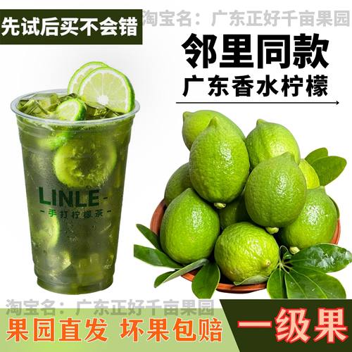 广东香水柠檬手打柠檬茶浓香型