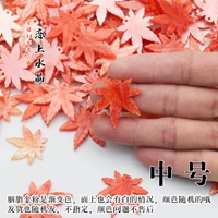 Средний размер