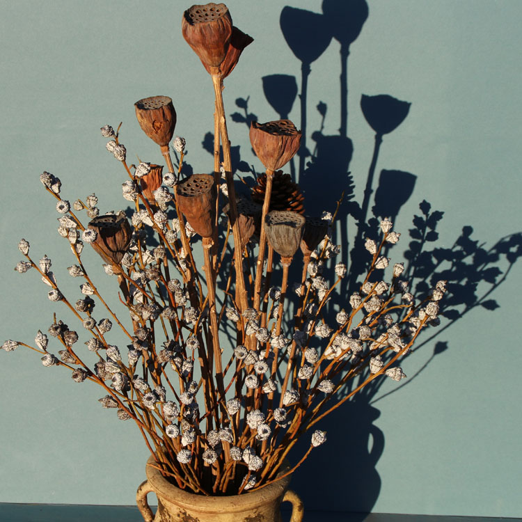 阳春市快易花借的钱多久到账【加#V信Q同号: