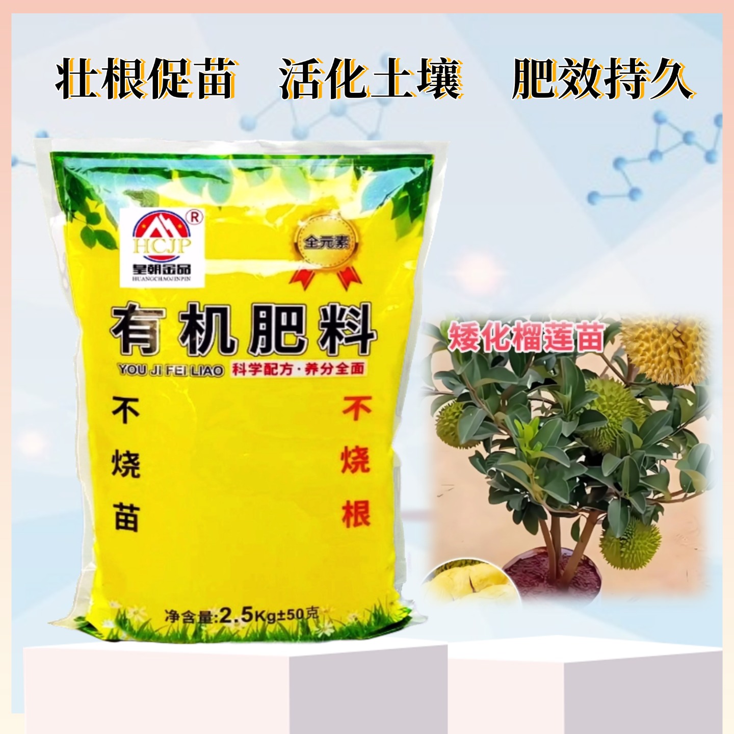 不支持有机认证盆栽地栽专用果苗