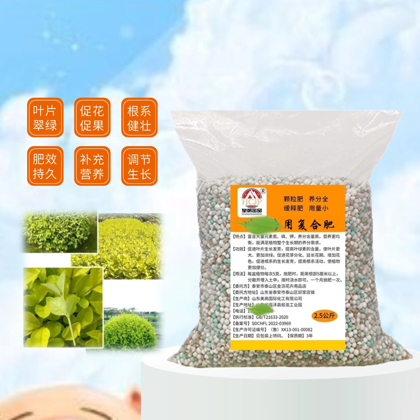 金叶小叶女贞盆栽复合肥缓控释肥