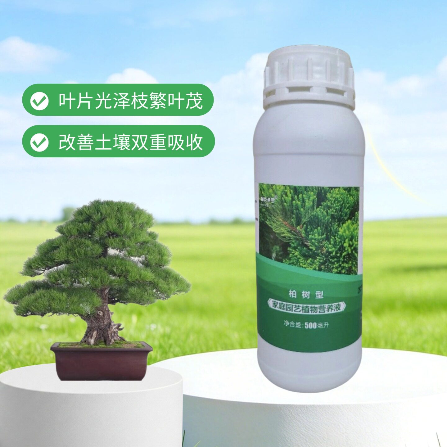 柏树苗营养液家用塔柏圆侧刺龙真柏洒金柏松柏崖柏盆栽专用黄叶肥
