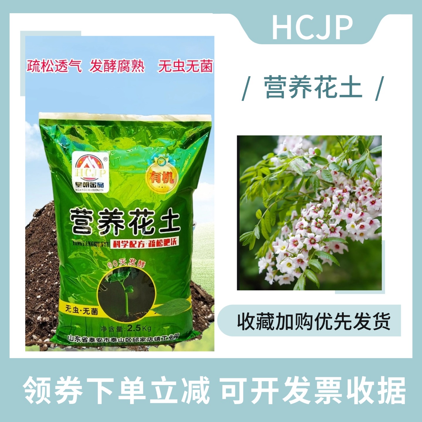 文冠花椰砖营养土状元花老桩