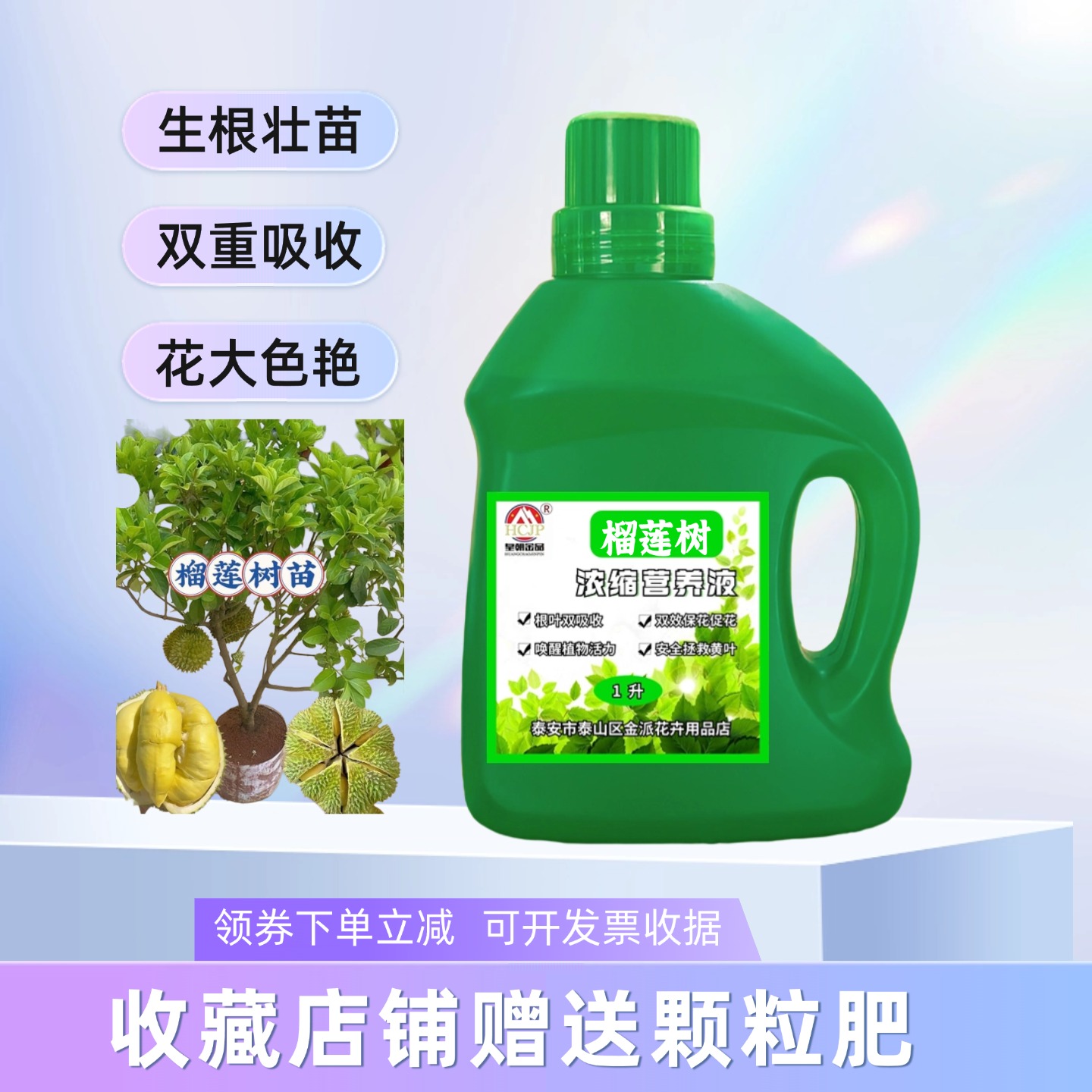 矮化榴莲树果苗浓缩营养液