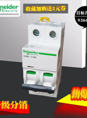 施耐德IC65N 2P 10A16A20A25A32A40A50A63A断路器C型空开A9F18220
