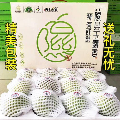 正宗山西隰县玉露香梨脆甜多汁孕妇新鲜水果当季礼盒装