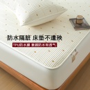 纯棉防水隔尿床笠2025新款 通用席梦思床垫保护罩 加厚防滑床罩四季