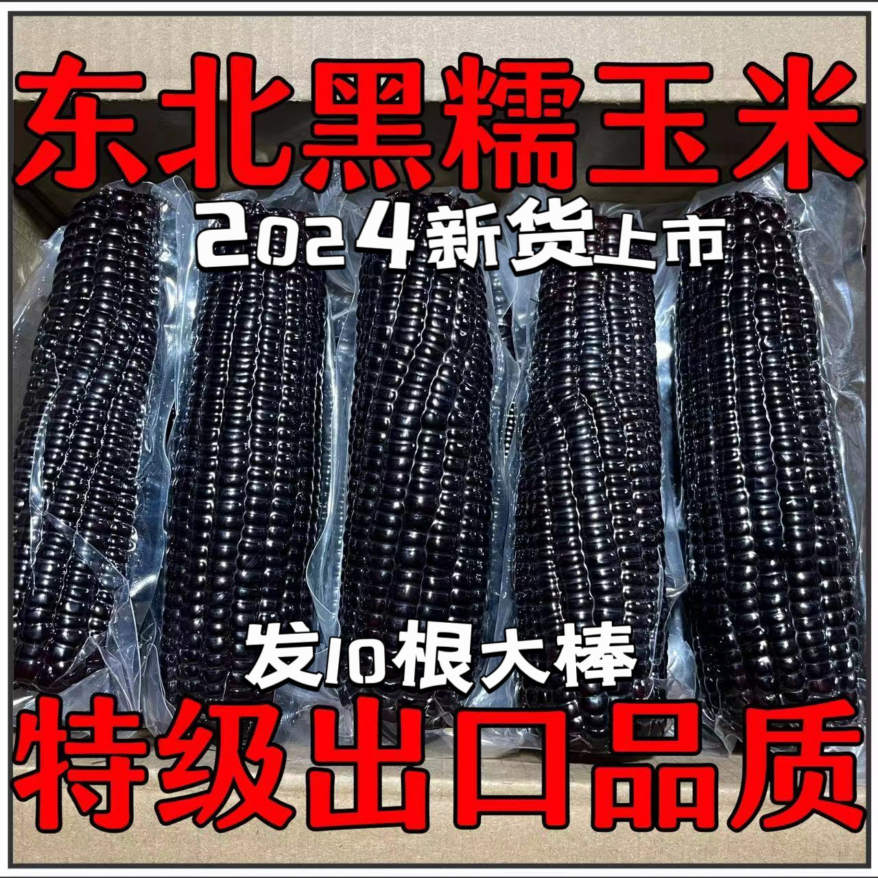整箱东北黑糯玉米棒新鲜甜糯黑玉米早餐真空非转基因头茬甜糯玉米
