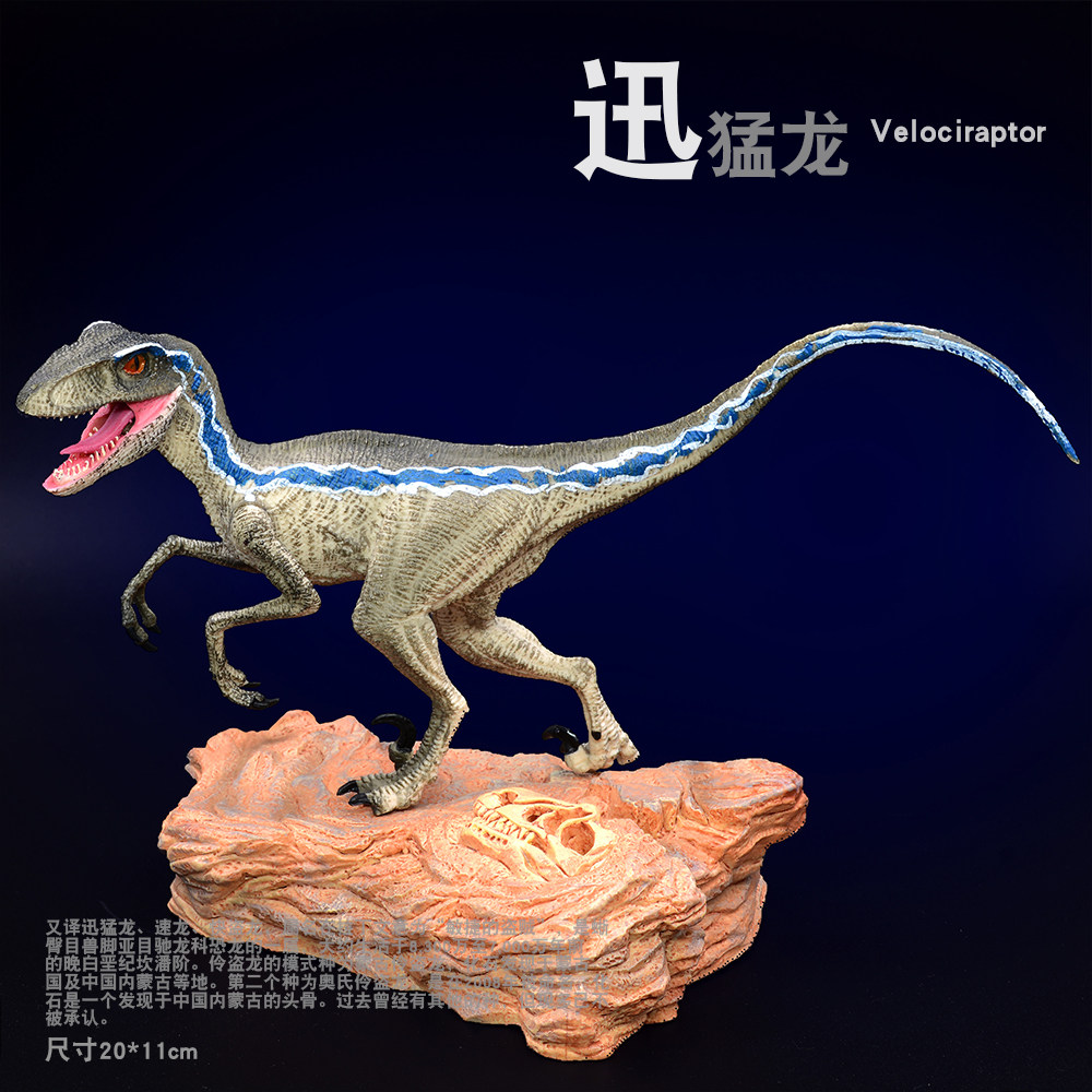 仿真恐龙模型全套玩具  blue迅猛龙  布鲁 伶盗龙 盗龙