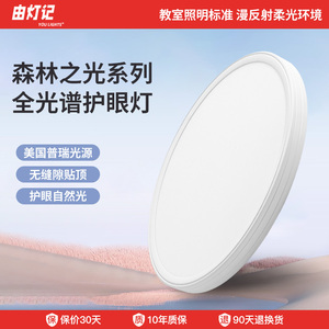 由灯记全光谱护眼吸顶灯简约现代卧室书房灯超薄无缝儿童房间灯具