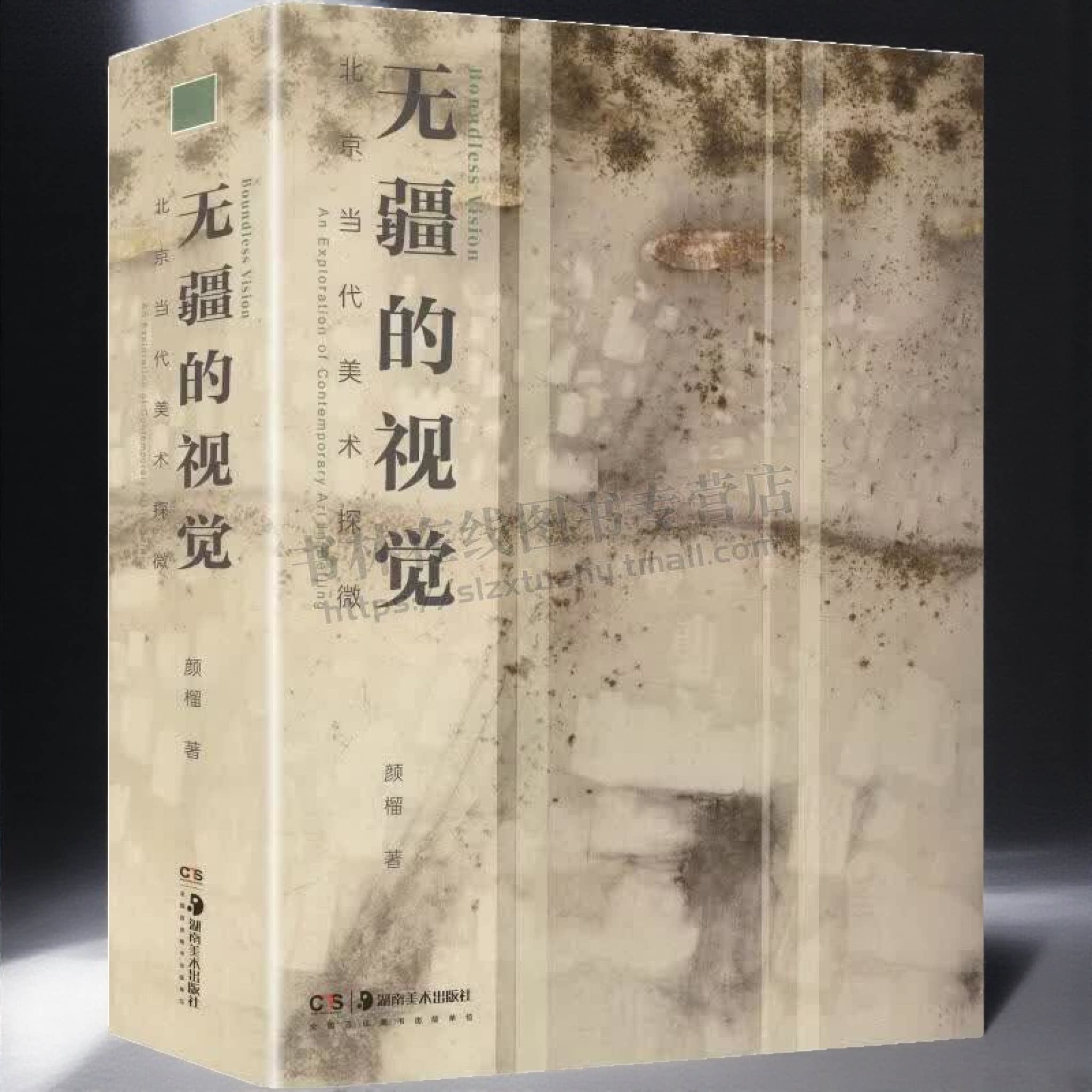无疆的视觉北京当代美术探微 当代艺术 中国近现代美术 农民如何成为达·芬奇 吴大羽吴冠中陈逸飞等艺术家作品展览集 湖南美术
