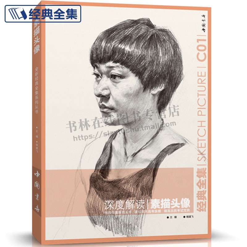 经典全集 深度解读素描头像书籍人物中央美院中国美院名师大合集结构体块明暗解析定制素描教材教程 杨建飞主编 中国书店出版社
