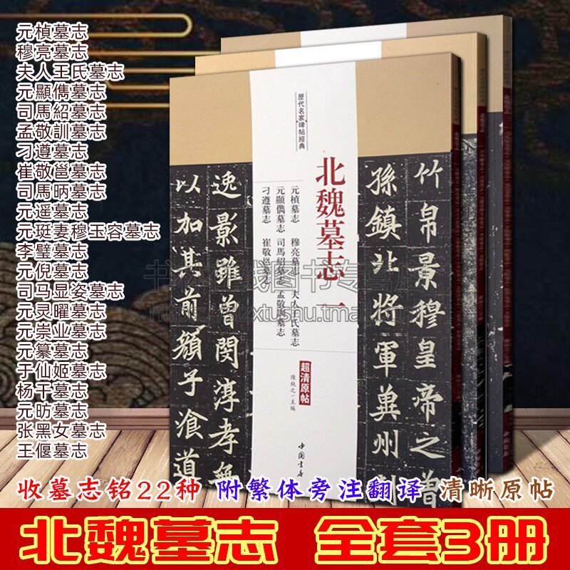 北魏墓志铭书法3册元桢元遥李璧刁遵崔敬邕于仙姬元昉王偃司马绍张玄张黑女墓志铭历代名家碑帖经典毛笔书法字帖鉴赏临摹范本书籍