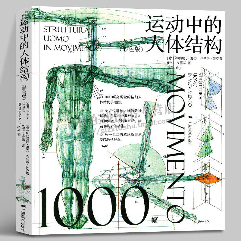 运动中的人体结构(彩色版)美术人体结构造型手绘技法绘画素材教程书美院美术教材 广西美术出版社