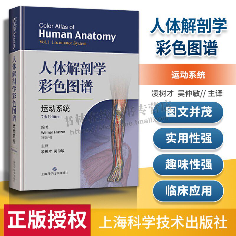 人体解剖学彩色图谱·运动系统 凌树才赵经纬体解刨学图谱解剖速记构造书籍实用解剖图谱局部系统解剖学 正版 上海科学技术出版社
