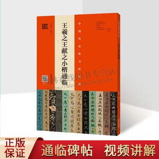 王羲之王献之小楷通临中国代表性书法作品黄庭经乐毅论宋拓本王献之玉版十三行翁志飞编全碑视频临写楷书毛笔练字帖 河南美术出版